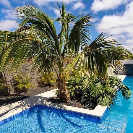 Golf Palms * Costa Teguise